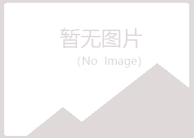 蛟河冰夏采矿有限公司